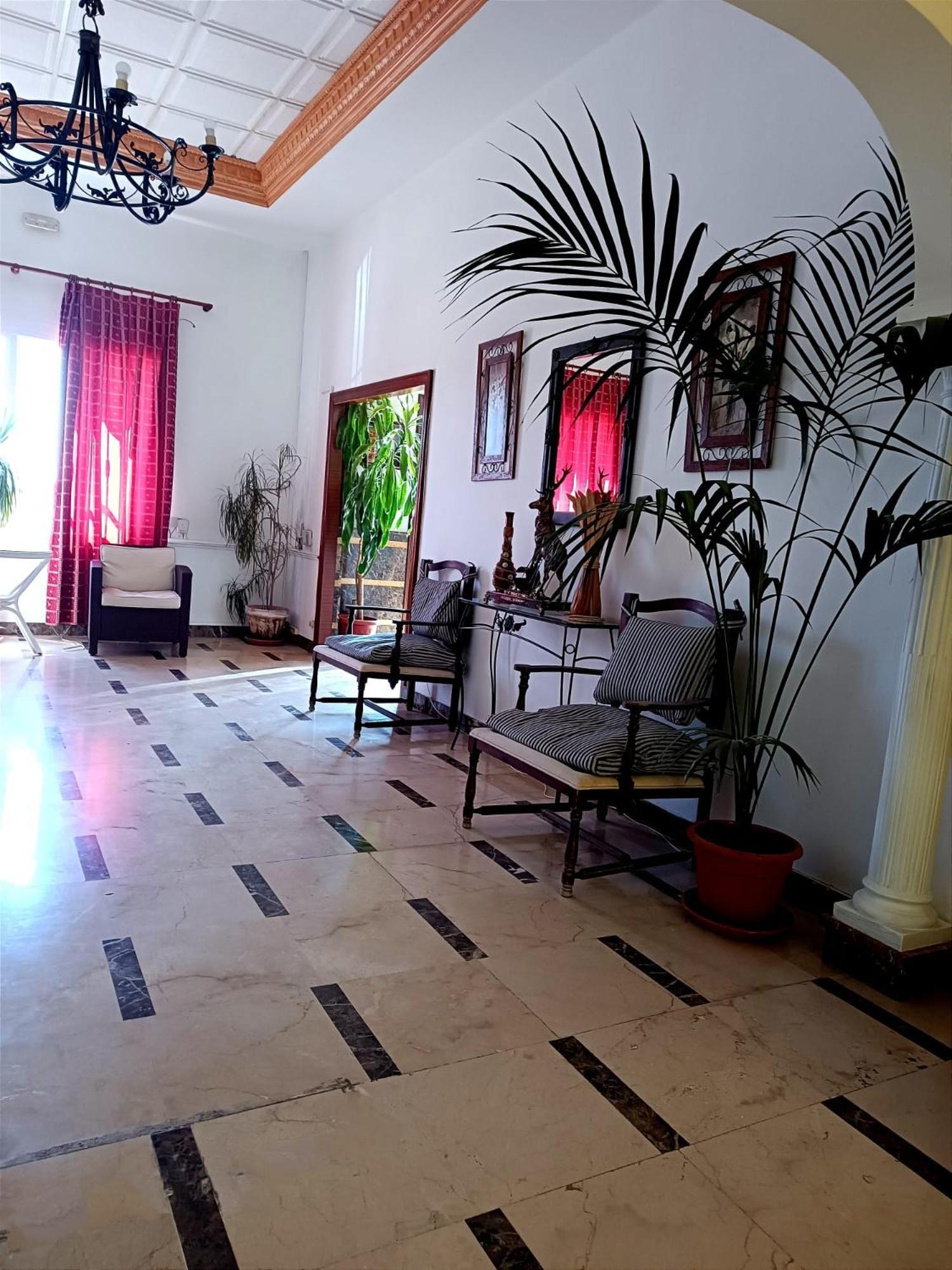 Hostal El Lirio Bollullos Par del Condado Dış mekan fotoğraf